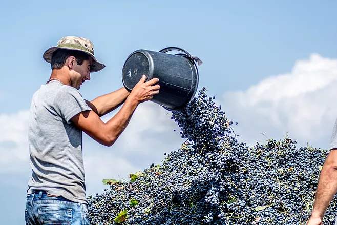 SUBITOP攜手天津潤(rùn)澳普思來(lái)到第五個(gè)國(guó)度，邂逅“被遺忘的上帝后花園”！